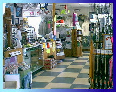 store3.jpg (28056 bytes)